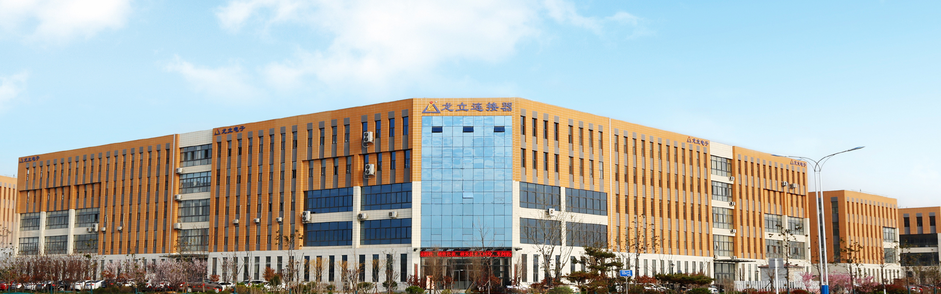 龍立電子順利通過(guò)制造業(yè)單項(xiàng)冠軍企業(yè)復(fù)核，續(xù)寫行業(yè)輝煌篇章